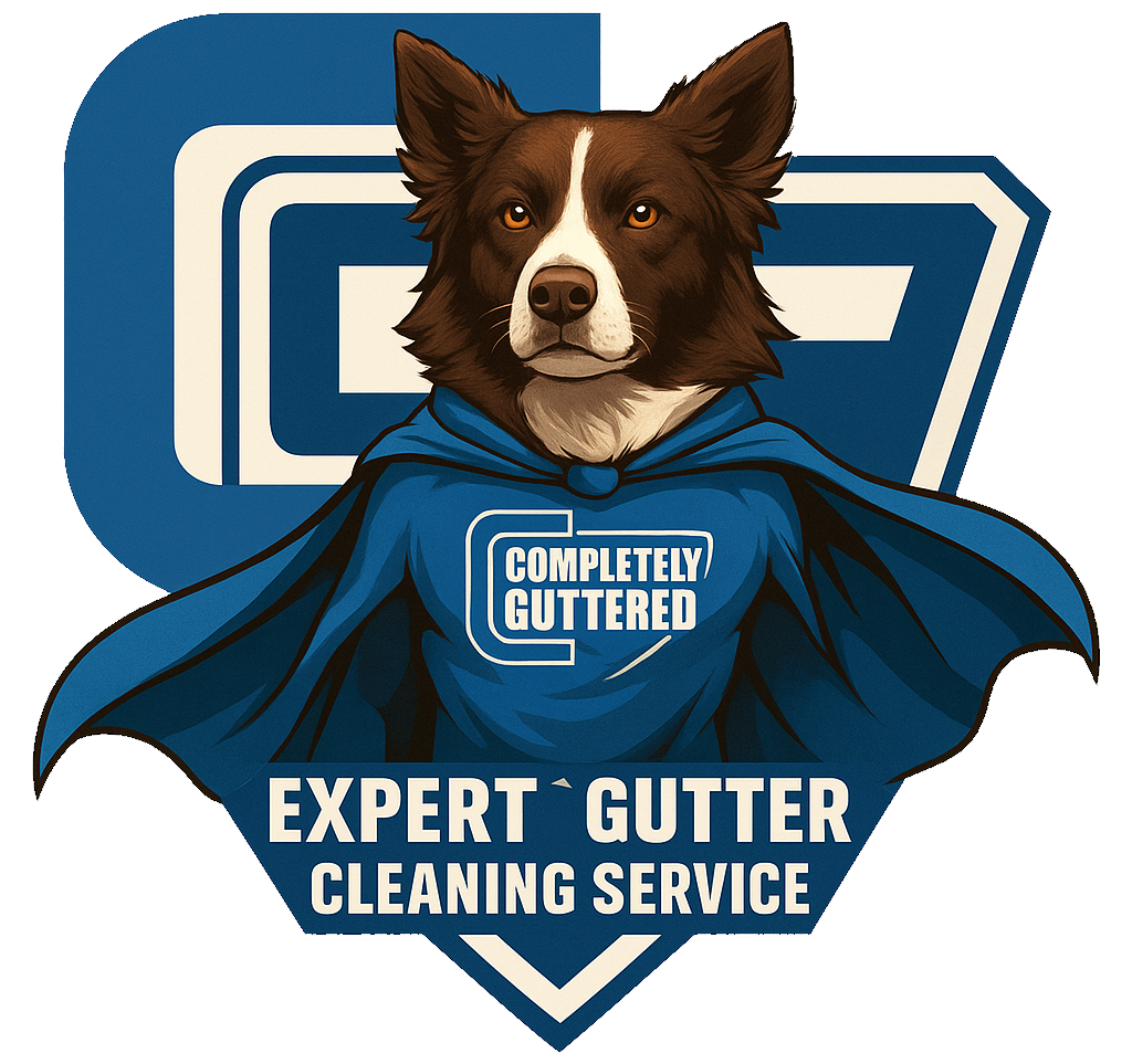 Completely Guttered - Expert Gutter Cleaning Service